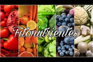 Descubre los tipos de fitonutrientes y sus beneficios en esta receta de artículo fitonutrientes