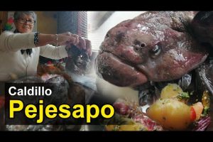 Sopa de Chalaco: Deliciosa Receta con Pejesapo